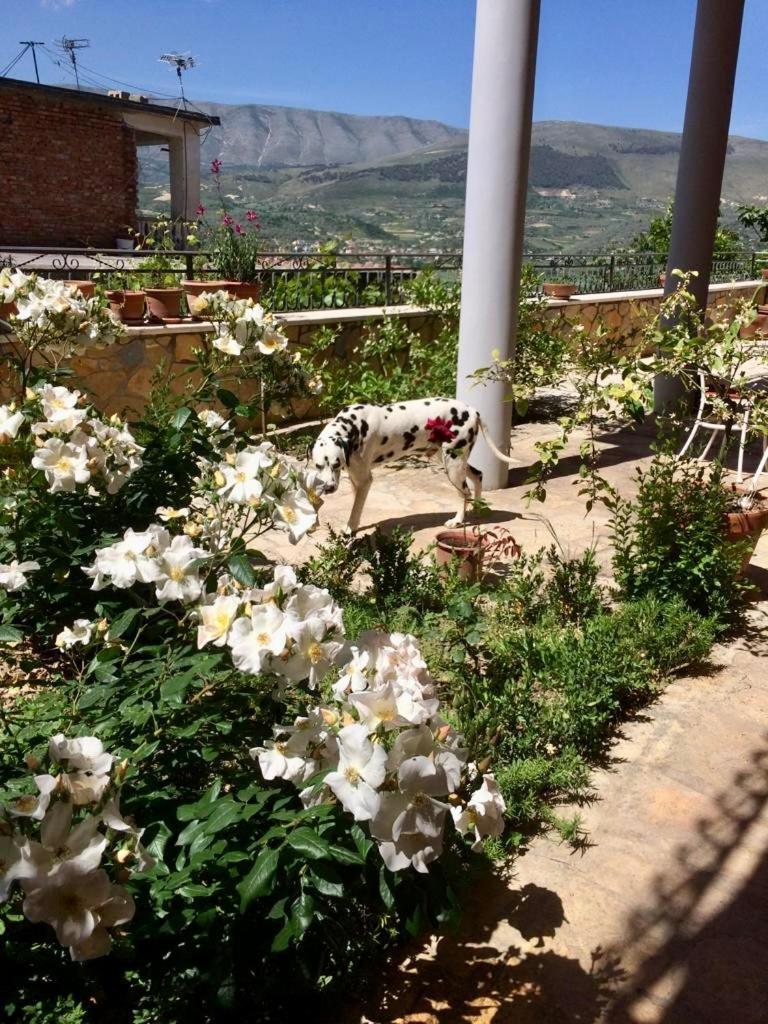 Guesthouse Villa Rosa Berati Quarto foto